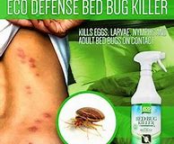 kill bug treatment herbal remedy