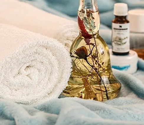 essential oils for bed bugs