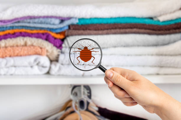 Tell me the best way to protect your luggage from bed bugs while traveling