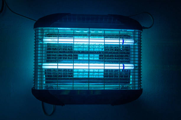 Does UV Light Kill Bed Bugs